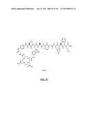 GASTRIN RELEASING PEPTIDE COMPOUNDS diagram and image