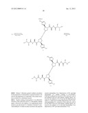 FUNCTIONALIZED PYRROLIDINES AND USE THEREOF AS IAP INHIBITORS diagram and image
