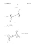 FUNCTIONALIZED PYRROLIDINES AND USE THEREOF AS IAP INHIBITORS diagram and image