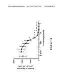 Treatment and Diagnostic Methods for Fibrosis Related Disorders diagram and image