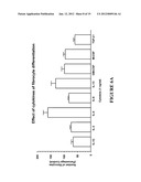 Treatment and Diagnostic Methods for Fibrosis Related Disorders diagram and image