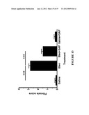 Treatment and Diagnostic Methods for Fibrosis Related Disorders diagram and image