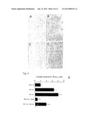 NITRIC OXIDE DONORS FOR TREATMENT OF DISEASE AND INJURY diagram and image