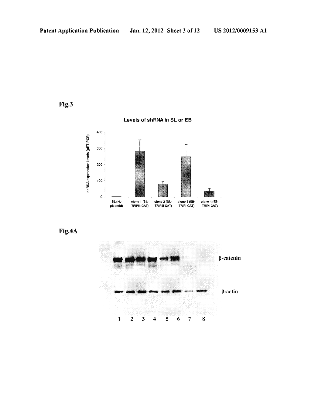 COMPOSITIONS FOR BACTERIAL MEDIATED GENE SILENCING AND METHODS OF USING     THE SAME - diagram, schematic, and image 04