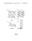 METHOD OF TREATING INFLAMMATORY LUNG DISEASE WITH SUPPRESSORS OF CpG     OLIGONUCLEOTIDES diagram and image