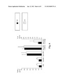 METHOD OF TREATING INFLAMMATORY LUNG DISEASE WITH SUPPRESSORS OF CpG     OLIGONUCLEOTIDES diagram and image