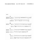 Folate Receptor 1 Antibodies and Immunoconjugates and Uses Thereof diagram and image