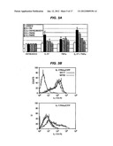 IDENTIFICATION AND METHOD FOR USING THE PRE-LIGAND ASSEMBLY DOMAIN OF THE     IL-17 RECEPTOR diagram and image