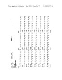 IDENTIFICATION AND METHOD FOR USING THE PRE-LIGAND ASSEMBLY DOMAIN OF THE     IL-17 RECEPTOR diagram and image