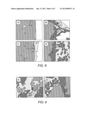 WOUND HEALING COMPOSITIONS CONTAINING KERATIN BIOMATERIALS diagram and image
