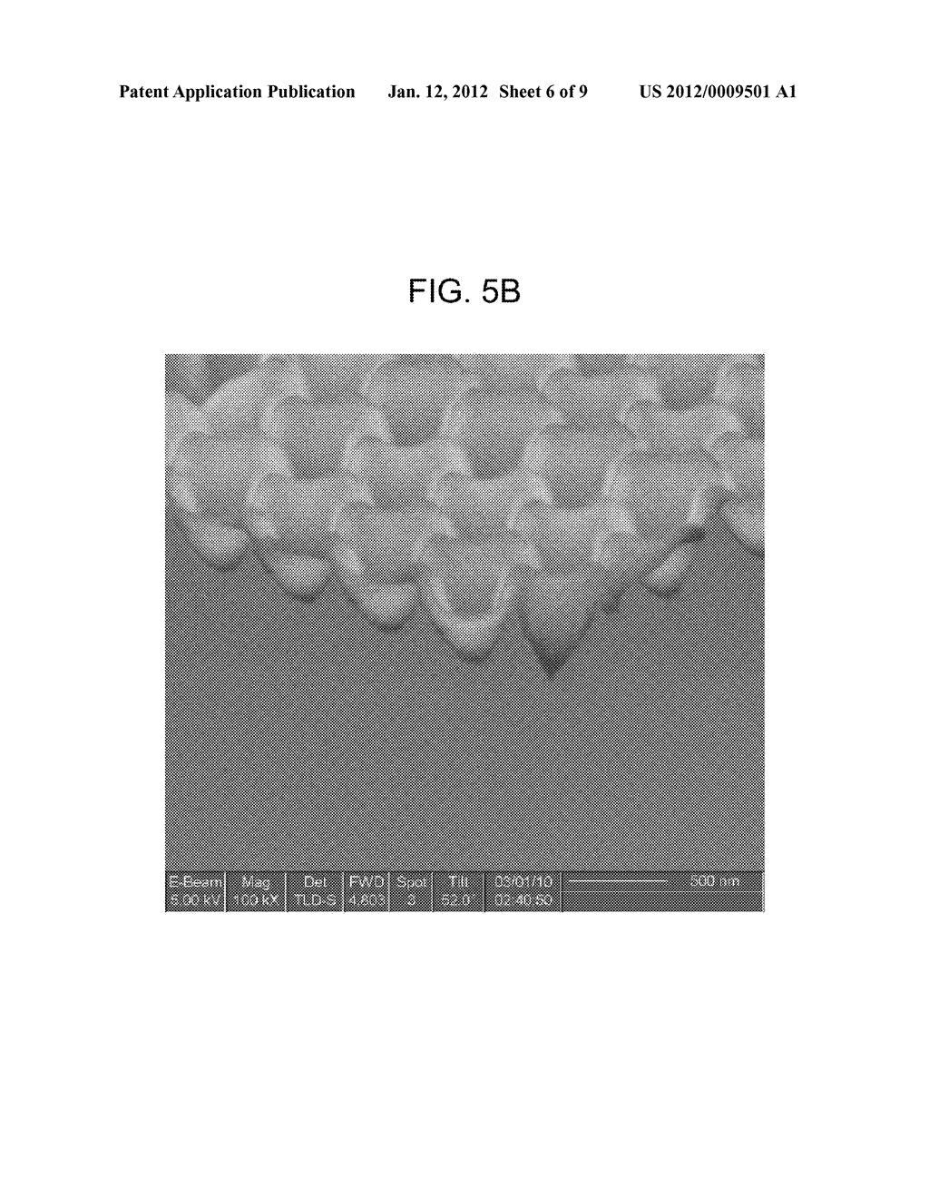 METHODS OF MANUFACTURING PROTON CONDUCTIVE SOLID OXIDE FUEL CELL AND     PROTON CONDUCTIVE SOLID OXIDE FUEL CELLS MANUFACTURED BY USING THE     METHODS - diagram, schematic, and image 07