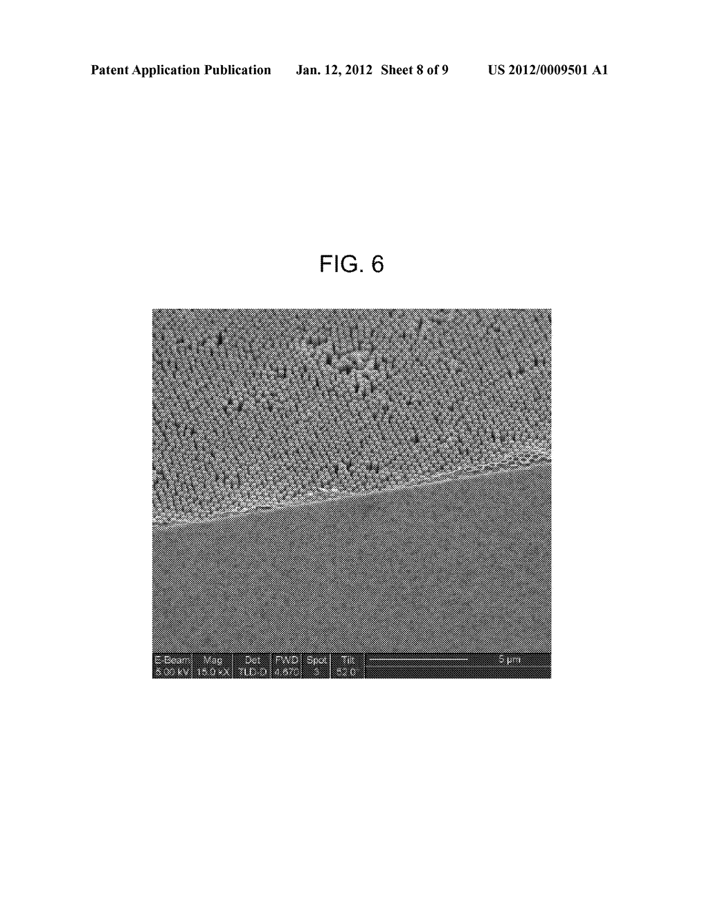 METHODS OF MANUFACTURING PROTON CONDUCTIVE SOLID OXIDE FUEL CELL AND     PROTON CONDUCTIVE SOLID OXIDE FUEL CELLS MANUFACTURED BY USING THE     METHODS - diagram, schematic, and image 09