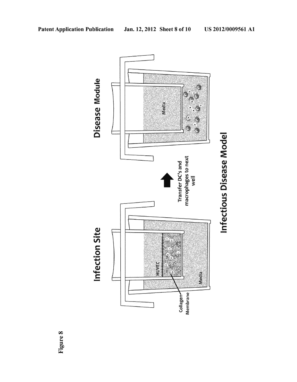 METHODS OF EVALUATING A TEST AGENT IN A DISEASED CELL MODEL - diagram, schematic, and image 09