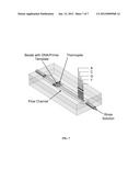 THERMOELECTRIC METHOD OF SEQUENCING NUCLEIC ACIDS diagram and image