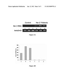 Microvesicle-Based Compositions and Methods diagram and image