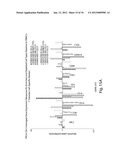 Gene Expression Profiling for Predicting the Survivability of Prostate     Cancer Subjects diagram and image