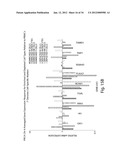 Gene Expression Profiling for Predicting the Survivability of Prostate     Cancer Subjects diagram and image