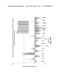 Gene Expression Profiling for Predicting the Survivability of Prostate     Cancer Subjects diagram and image