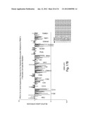Gene Expression Profiling for Predicting the Survivability of Prostate     Cancer Subjects diagram and image