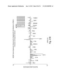 Gene Expression Profiling for Predicting the Survivability of Prostate     Cancer Subjects diagram and image