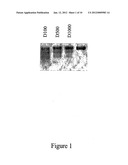 Method for Producing Highly Sensitive Endonucleases, Novel Preparations of     Endonucleases and Uses Thereof diagram and image