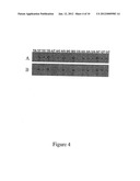 Method for Producing Highly Sensitive Endonucleases, Novel Preparations of     Endonucleases and Uses Thereof diagram and image