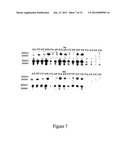 Method for Producing Highly Sensitive Endonucleases, Novel Preparations of     Endonucleases and Uses Thereof diagram and image