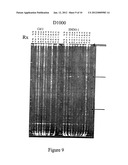 Method for Producing Highly Sensitive Endonucleases, Novel Preparations of     Endonucleases and Uses Thereof diagram and image