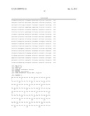 Method for Producing Highly Sensitive Endonucleases, Novel Preparations of     Endonucleases and Uses Thereof diagram and image