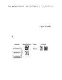 DEVICE AND NON-TOXIC COMPOSITIONS AND METHODS FOR PERMEABILIZATION OF     DROSOPHILA EMBRYOS diagram and image