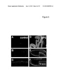 DEVICE AND NON-TOXIC COMPOSITIONS AND METHODS FOR PERMEABILIZATION OF     DROSOPHILA EMBRYOS diagram and image