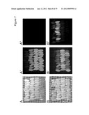 DEVICE AND NON-TOXIC COMPOSITIONS AND METHODS FOR PERMEABILIZATION OF     DROSOPHILA EMBRYOS diagram and image