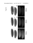 DEVICE AND NON-TOXIC COMPOSITIONS AND METHODS FOR PERMEABILIZATION OF     DROSOPHILA EMBRYOS diagram and image