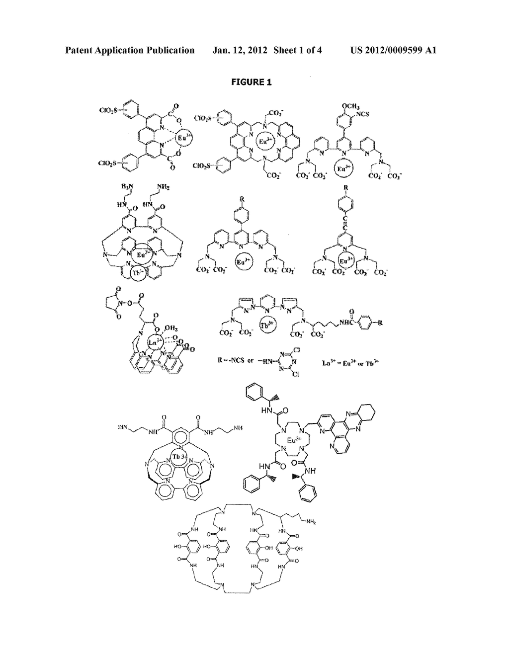 METHOD FOR DETECTING MEMBRANE PROTEIN INTERNALIZATION - diagram, schematic, and image 02
