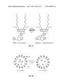 ZINC SENSORS FOR CELLULAR IMAGING diagram and image