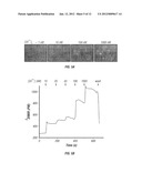 ZINC SENSORS FOR CELLULAR IMAGING diagram and image