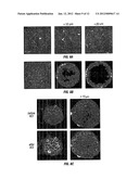 ZINC SENSORS FOR CELLULAR IMAGING diagram and image