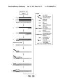 METHODS AND KITS FOR USE IN THE SELECTIVE AMPLIFICATION OF TARGET     SEQUENCES diagram and image