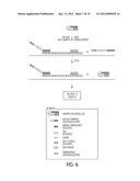 METHODS AND KITS FOR USE IN THE SELECTIVE AMPLIFICATION OF TARGET     SEQUENCES diagram and image