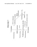 ALDOLASES, NUCLEIC ACIDS ENCODING THEM AND METHODS FOR MAKING AND USING     THEM diagram and image