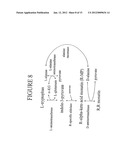 ALDOLASES, NUCLEIC ACIDS ENCODING THEM AND METHODS FOR MAKING AND USING     THEM diagram and image