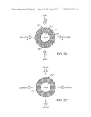 SYNGAS CONVERSION METHOD USING ASYMMETRIC MEMBRANE AND ANAEROBIC     MICROORGANISM diagram and image