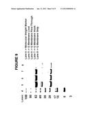 COMPOSITIONS, METHODS AND KITS FOR PREPARING PLASMINOGEN AND PLASMIN     PREPARED THEREFROM diagram and image