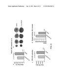 Mitochondrial Aldehyde Dehydrogenase-2 Modulators and Methods of Use     Thereof diagram and image