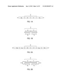 SINGLE-STRANDED NUCLEIC ACID MOLECULE FOR CONTROLLING GENE EXPRESSION diagram and image