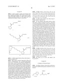SINGLE-STRANDED NUCLEIC ACID MOLECULE FOR CONTROLLING GENE EXPRESSION diagram and image