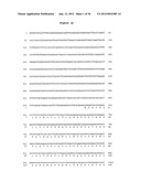 SPLICE VARIANTS OF HUMAN G-PROTEIN COUPLED RECEPTOR HGPRBMY29     (HGPRMBY29SV2) diagram and image