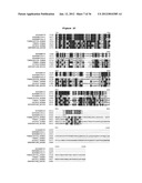 SPLICE VARIANTS OF HUMAN G-PROTEIN COUPLED RECEPTOR HGPRBMY29     (HGPRMBY29SV2) diagram and image