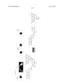 SPLICE VARIANTS OF HUMAN G-PROTEIN COUPLED RECEPTOR HGPRBMY29     (HGPRMBY29SV2) diagram and image