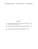 SPLICE VARIANTS OF HUMAN G-PROTEIN COUPLED RECEPTOR HGPRBMY29     (HGPRMBY29SV2) diagram and image